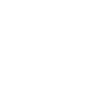 Home icon11